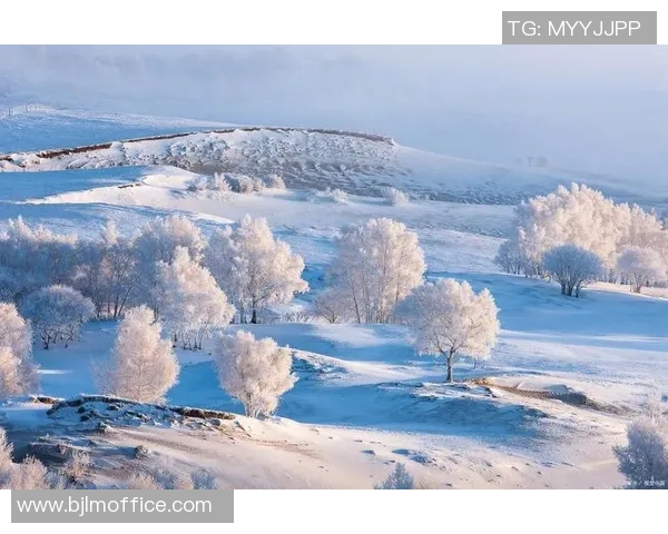 布莱克尼的魅力探秘：历史文化与自然风光的完美交融之旅